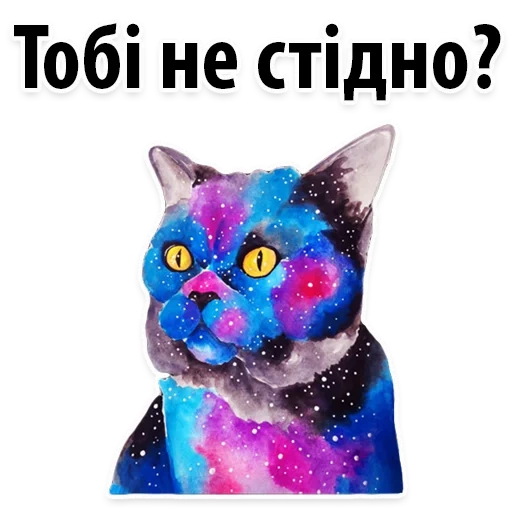 die seehunde, die kosmische katze, die weltraumkatze, die weltraumkatze, cosmic seal