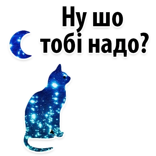 gatto, e spazio, cosmos cat, gatti spaziali