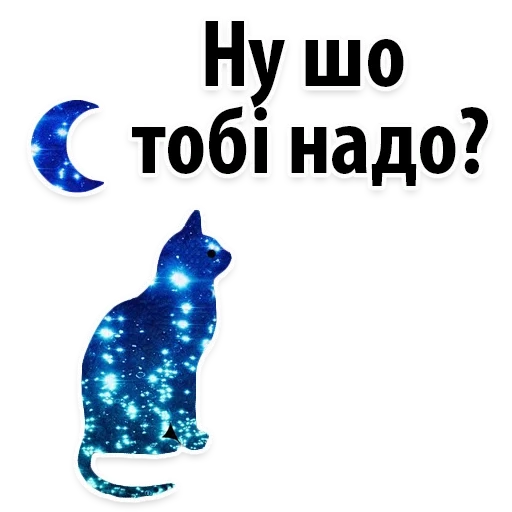 die katze, space, die kosmische katze, die kosmische katze