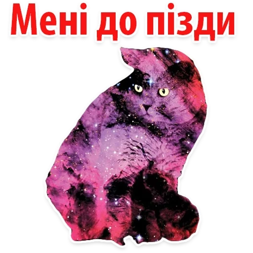 cat universe, cosmic cat, seal space, space cat, space cat