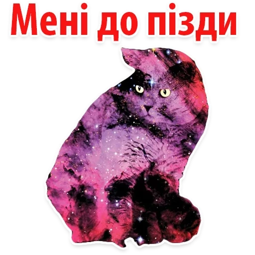 the cat universe, die kosmische katze, seabound space, die weltraumkatze, die weltraumkatze