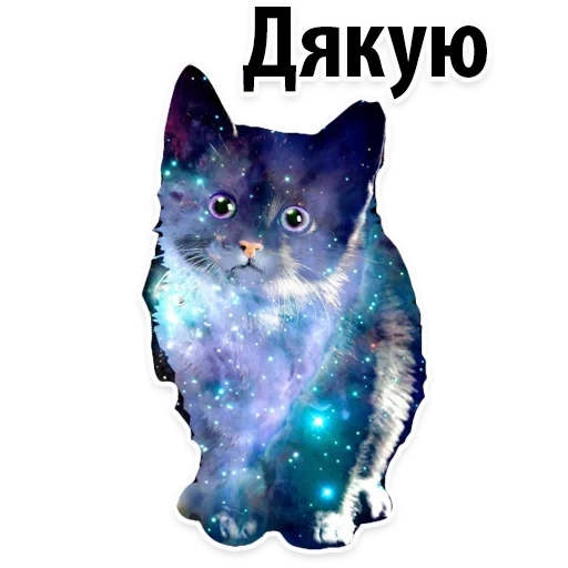 cosmos de gatos, cosmos cat, espacial gato, gato cósmico, lindos gatos cósmicos