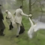 barking, v í deo, steal, goose fight, the swan attacked a woman