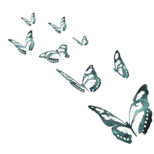 бабочки, бабочка лист, бабочка эскиз, бабочка рисунок, эффект бабочки эскиз