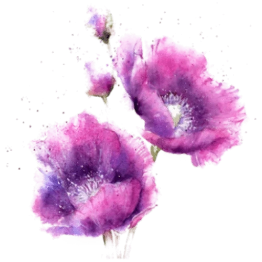 цветы акварелью, акварельные цветы, фиолетовые цветы акварель, фиолетовые маки акварелью, сиреневые акварельные цветы
