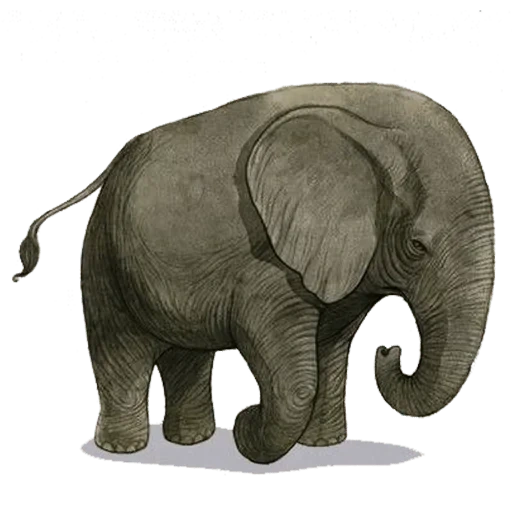 слон большой, слон маленький, азиатский слон, африканский слон, фигурка schleich африканский слон 14762