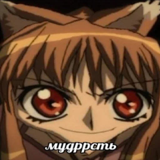 аниме волчица, волчица пряности, holo spice and wolf, волчица пряности холо, аниме волчица пряности