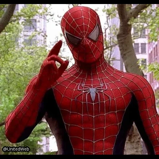 chico, de ninguna manera a casa, hombre araña, spider-man 2, de ninguna manera en casa póster