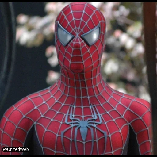 hombre araña, spider-man 5 2023, man spider toby maguire, spider-man 3 enemigo de reflexión, zendaya maree stoermer coleman