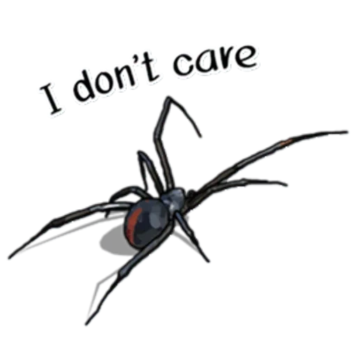 паук, паук черный, эмодзи паук, паук например, чёрная вдова паук