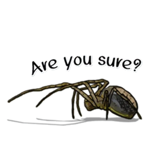 паук, пауки, паук мем, паук прозрачном фоне