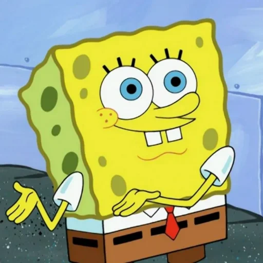 sponge kelpo bob, spons bob magic, spons bob sponge bob, sponge bob adalah persegi, spongebob squarepants