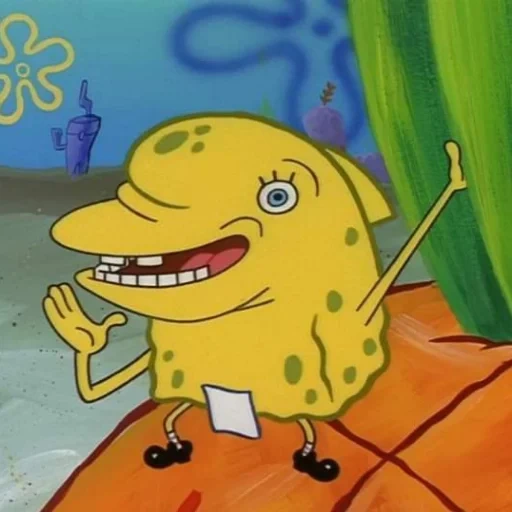 mem spange bob, memic sponge bob, sponge bob memes, stubborn sponge bob, sponge bob square pants