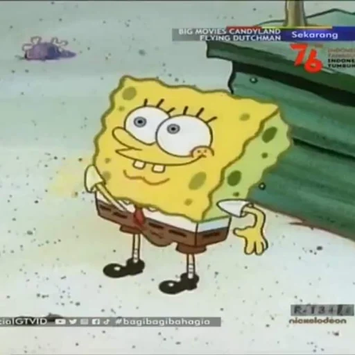 bob sponge, spugna di mare, sponge memic bob, sponge bob square pants, per importanti negoziati sponge bob