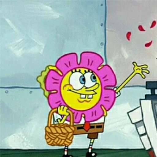 spugna bob, modello di spongebob, fiore di spugna di fagioli, spongebob spongebob spongebob, pantaloni spongebob square