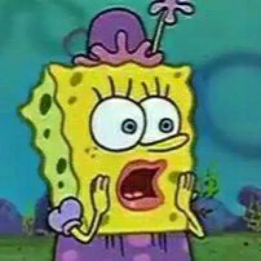 sponge bob, bob esponja, meme spongebob, kartun spongebob, spongebob square pants