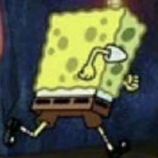 sponge bob, spongebob licik, spongebob spongebob, spongebob square, spongebob square pants