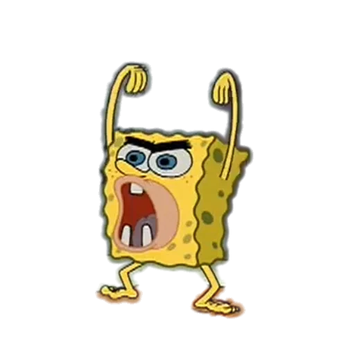 spongebob, wild sponge bob, wild sponge bean, sponge bob square pants