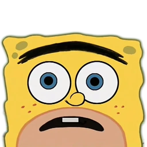 bob sponge, wild sponge bob, sponge bob is square, sponge bob stubborn faces, sponge bob square pants