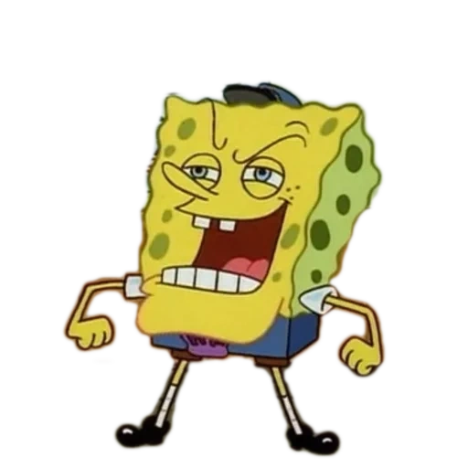 spugna di mare, sponge wild bob, sponge bob sponge bob, sponge bob square pants