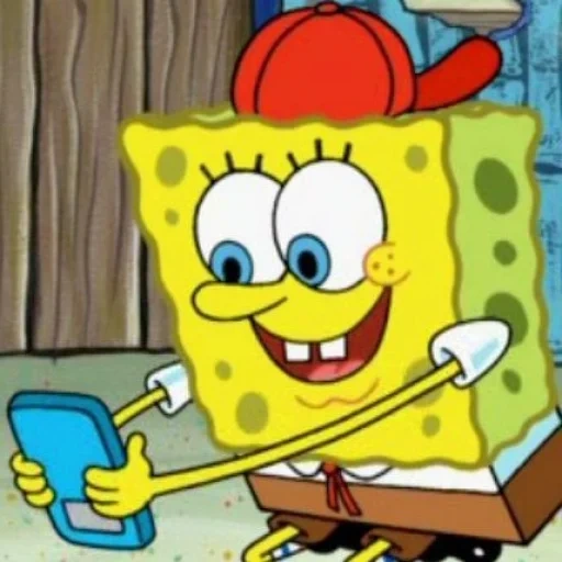 bob sponge, spons bob sponge bob, sponge bob adalah persegi, spongebob squarepants, spongebob squarepants