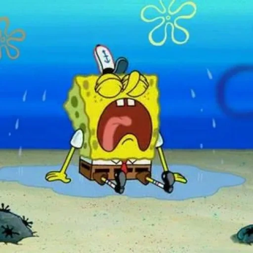 kacang spons sakit, spons menangis bob, spons menangis bob, spons bob sponge bob, spongebob squarepants