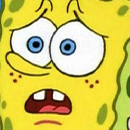 unknown number, spongebob edith, spongebob face, spongebob spongebob, spongebob square pants