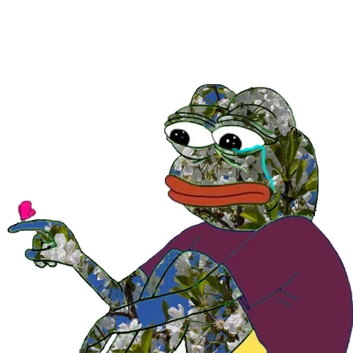 katak, pepe toad, pepe frog, pepe katak, pepe katak