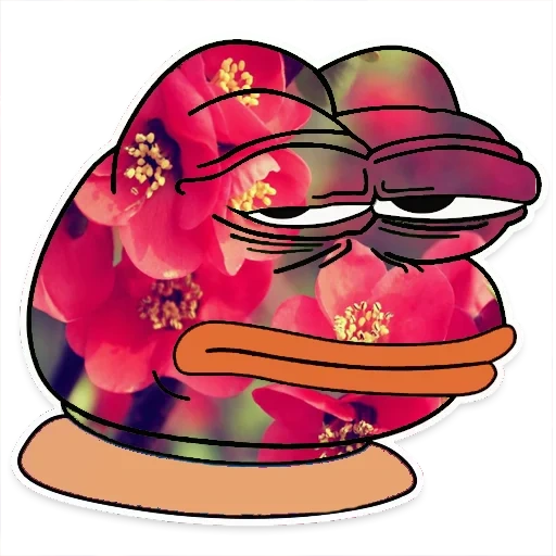 meme, pepe toad, pepe jabka, pepe merah muda, pepe ungu