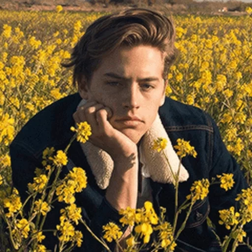 cole spruce, spruce dylan cole, colsprus golden fat, cole sprouse riverdale, estetika wallpaper cole spruce