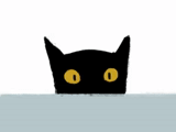 gato, gato, gato preto, pôster de gato preto, um minimalismo no estilo de gato