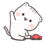 lovely, kawai seal, kavai's picture, cute cat pattern, lovely seal picture