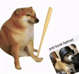 perro memético, modelo de perro siba, bola de perro meme