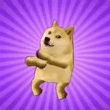 doge, dog meme, dancing dog