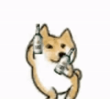 chien, dancing doge, dance doge gif