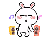 hare vatsap, hiper rabbit, dancing bunny, dancing bunny, rabbit dançando