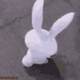 rabbit, bunny, snowball hare, rabbits are white, rabbit snowball