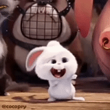the secret life of pets, the secret life of pets hare, last life of pets snowball, little life of pets rabbit, rabbit snowball last life of pets 1