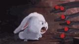 rabbit arrabbiato, snowball di coniglio, rabbit secret life 2, little life of pets rabbit, la vita segreta degli animali domestici è il coniglio malvagio