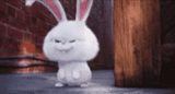 rabbit arrabbiato, snowball di coniglio, coniglio allegro, ultima vita di coniglio di casa, little life of pets rabbit