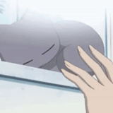 anime, anime de kawai, animation kawawai, aju mang dayou cat