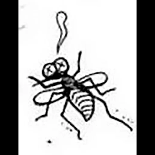 serangga, serangga, pewarnaan semut, pola semut anak anak, semut menggambar anak anak dengan pensil