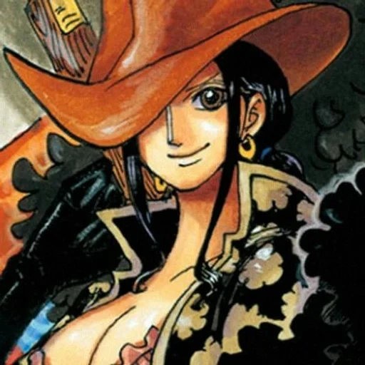 van pies, lorono zorro, chica de animación, nico robin van pies, nicole robin película z