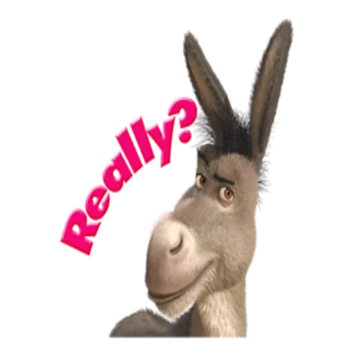 un asino, asino, shrek donkey, donkey shrek, shreke donkey sorride un meme