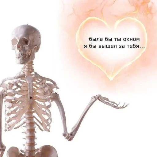 скелет, человек скелет, смешные валентинки, скелет человеческий, скелет показывает лайк