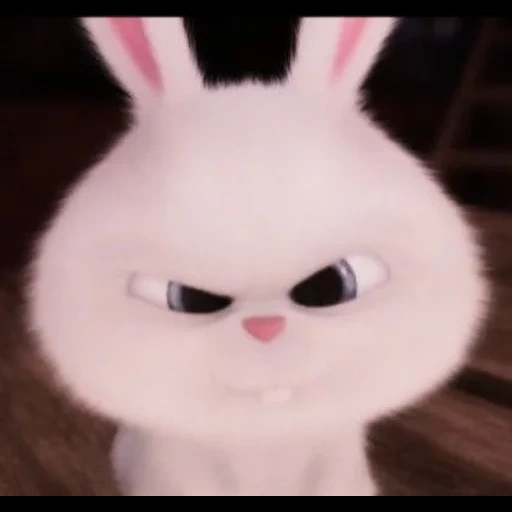 conejo, bola de nieve de conejo, secret life home rabbit snowball, pequeña vida de mascotas conejo, última vida de mascotas conejo de nieve de conejo