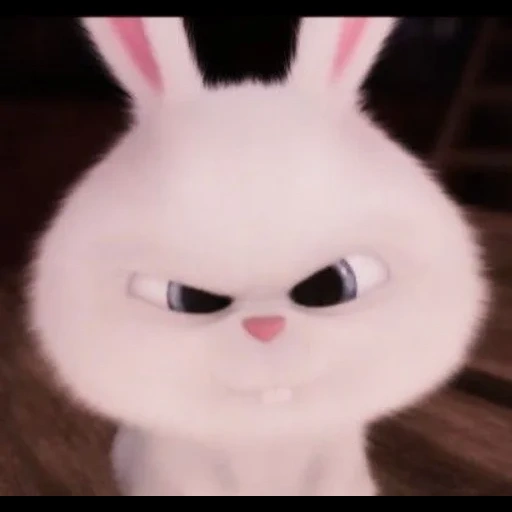 coniglio, snowball di coniglio, secret life home rabbit snowball, little life of pets rabbit, ultima vita di animali domestici snowball