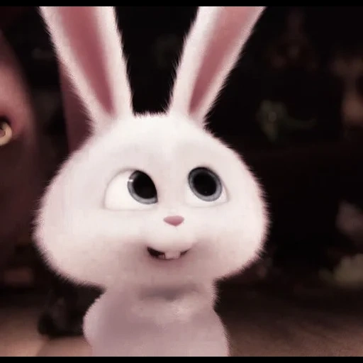 boule de neige de lapin, la vie secrète du lapin, la vie secrète des animaux de compagnie, little life of pets bunny, petite vie des animaux de compagnie lapin