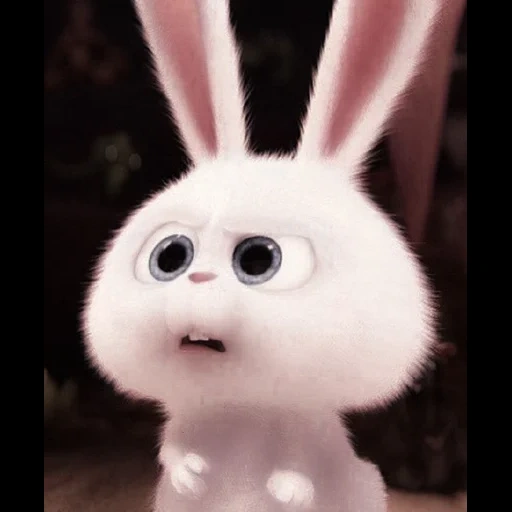bunny, rabbit arrabbiato, snowball di coniglio, il coniglio è divertente, little life of pets rabbit