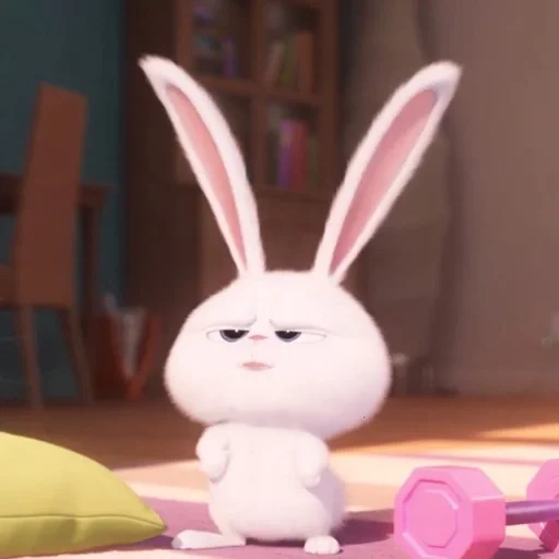 bola de neve de coelho, coelho alegre, rabbit da vida de animais de estimação, vida secreta dos animais 2, little life of pets rabbit